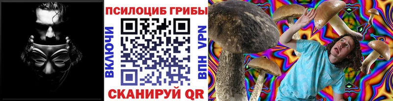 цена Туран Галлюциногенные грибы Psilocybine cubensis